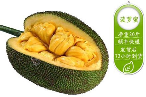 菠萝蜜核的食用禁忌(菠萝蜜核的食用禁忌)