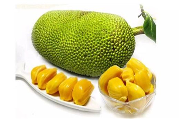 菠萝蜜核的功效(菠萝蜜核的功效和作用) 菠萝蜜核的功效(菠萝蜜核的功效和作用)