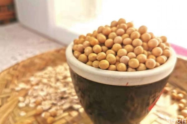 干豆和湿豆打豆浆哪个营养高(干豆和湿豆打豆浆哪个更有营养)