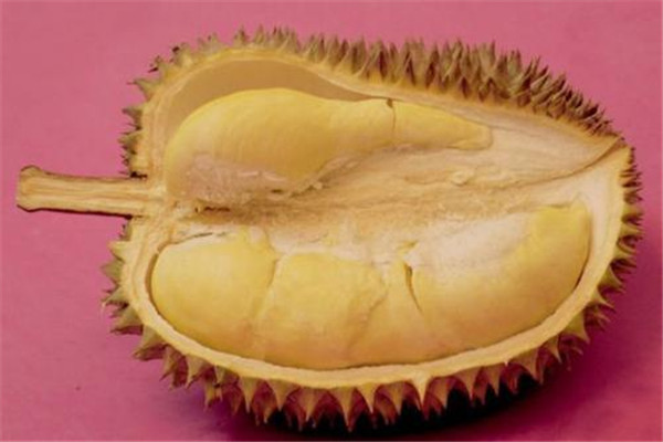 榴莲一次吃多少合适(孕妇吃榴莲一次吃多少合适) 榴莲一次吃多少合适(孕妇吃榴莲一次吃多少合适)