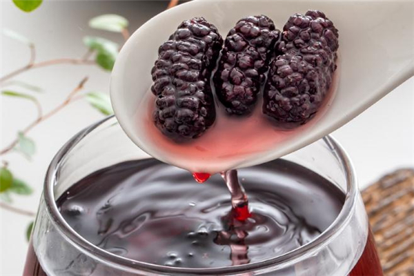 桑葚干泡水的功效和作用(桑葚干泡水的功效和作用及禁忌)