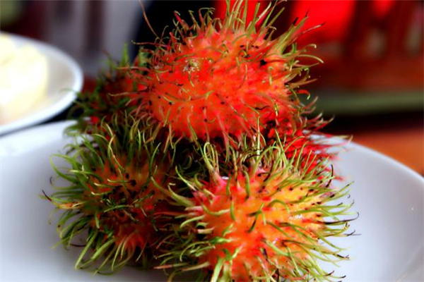 红毛丹吃了过敏怎么办(红毛丹吃了过敏怎么办)