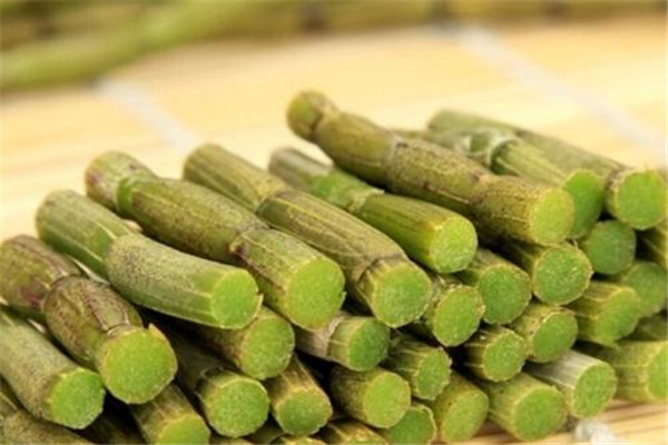 发芽的铁皮石斛怎么吃(发芽的铁皮石斛可以吃吗)