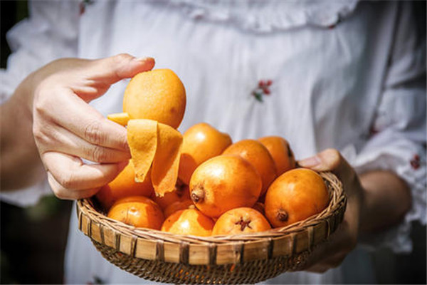 喝了隔夜枇杷水怎么办(隔夜枇杷水还能喝吗)