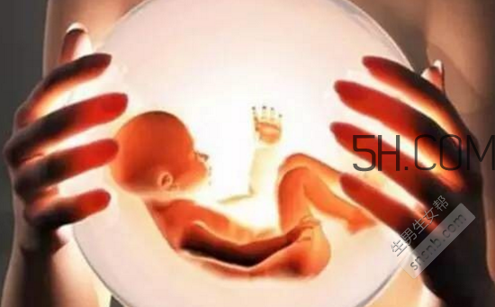 冻胚和鲜胚哪个成功率比较高(冻胚和鲜胚哪个成功率比较高)