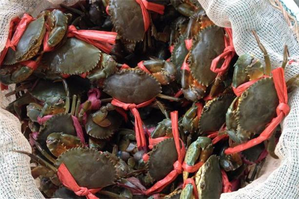 青蟹飞机上怎么保存(青蟹怎么保存方法) 青蟹飞机上怎么保存(青蟹怎么保存方法)