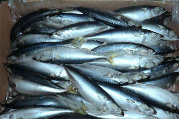 吃青鱼有什么好处(吃青鱼有什么好处和坏处)