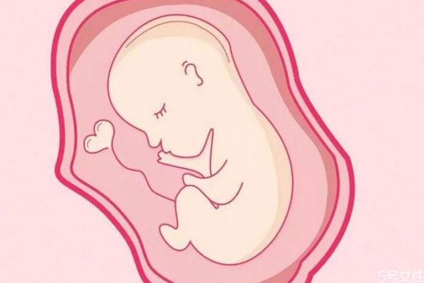 试管婴儿会有什么危险性(做试管婴儿有危险吗)