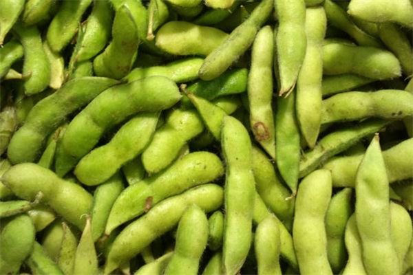 毛豆壳是干的还是湿的,毛豆的壳属于什么垃圾?