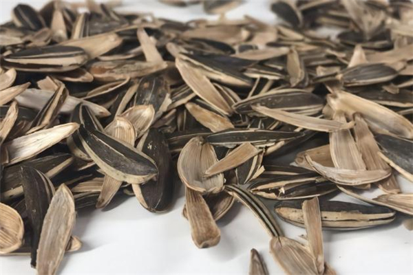 瓜子壳是干垃圾还是湿垃圾啊,花生瓜子壳是干垃圾还是湿垃圾 瓜子壳是干垃圾还是湿垃圾啊,花生瓜子壳是干垃圾还是湿垃圾