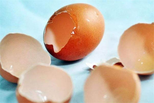 鸡蛋壳是干垃圾还是湿垃圾呢,鸡蛋壳是什么垃圾干垃圾还是湿垃圾 鸡蛋壳是干垃圾还是湿垃圾呢,鸡蛋壳是什么垃圾干垃圾还是湿垃圾