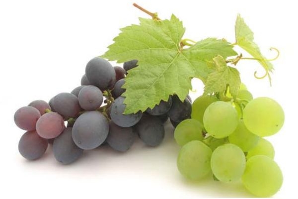 哪些食物能解酒,吃什么食物最解酒