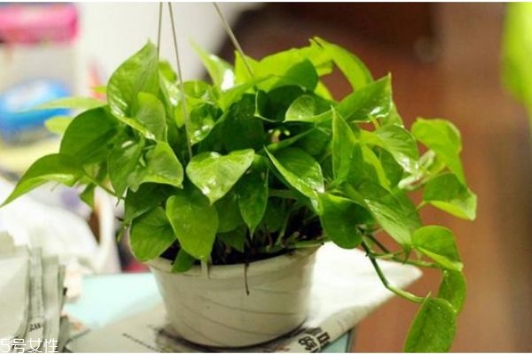 如何去甲醛又快又好,如何去甲醛又快又好安全