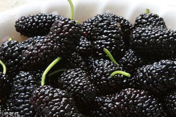 桑葚变红还能吃吗,桑葚变质吃了会怎么样