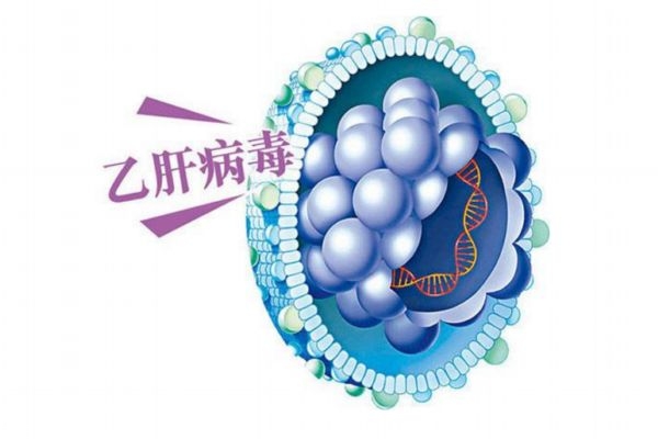 乙肝传播途径有哪些用餐会传染吗,乙肝传播途径有哪些呀?接吻会传染吗?