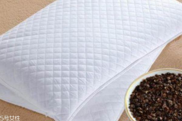 荞麦枕头有助于睡眠吗,荞麦枕功效