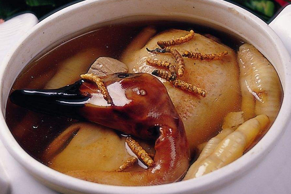 冬虫夏草的种类,冬虫夏草有多少种 冬虫夏草的种类,冬虫夏草有多少种