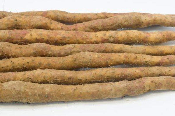 山药和海带可以一起炖汤吗孕妇能吃吗,山药和海带可以一起炖汤吗?