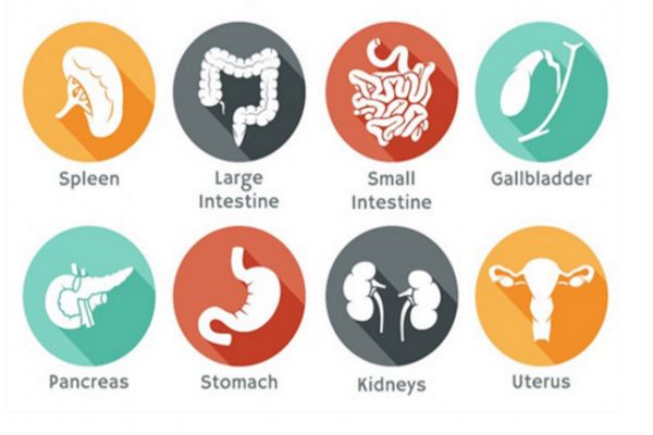 如何快速去除口臭异味,怎么有效去除口臭异味