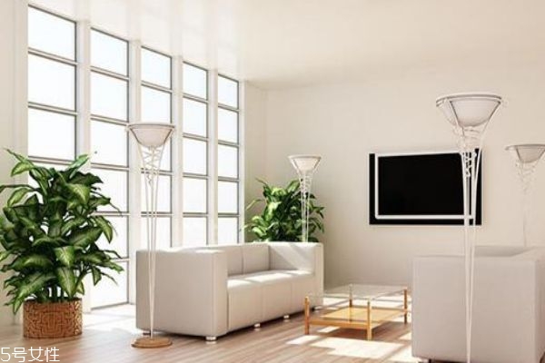 高端漆和普通漆有什么区别,高端漆和标准漆的区别