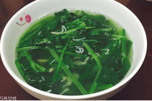 容易掉发吃什么比较好,常掉发吃什么好