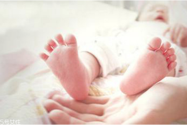 驱散了寒冷,驱走了寒冷 驱散了寒冷,驱走了寒冷