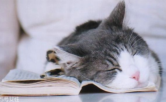 睡觉的时候突然抽搐一下,睡觉的时候突然抽搐一下这是为什么 睡觉的时候突然抽搐一下,睡觉的时候突然抽搐一下这是为什么