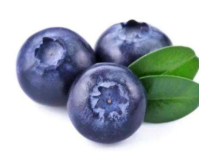 花青素小知识,花青素有什么作用