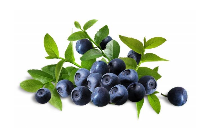 花青素可以改善视力吗,花青素保护视力 花青素可以改善视力吗,花青素保护视力