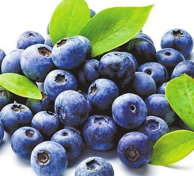 花青素清除自由基原理,花青素抗氧化能力 花青素清除自由基原理,花青素抗氧化能力