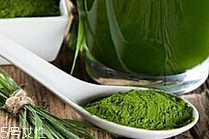 青汁的服用方法,青汁儿的功效和饮用方法