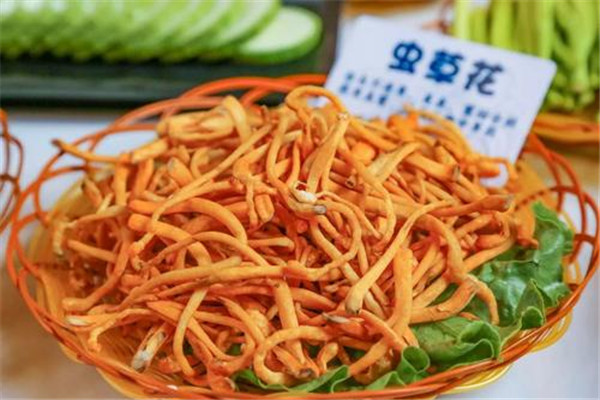 虫草话有副作用吗(虫草的副作用)