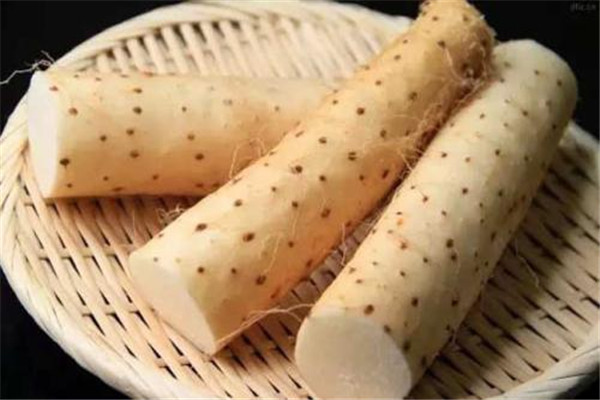 怎么分辨山药好坏(怎么分辨山药好坏)