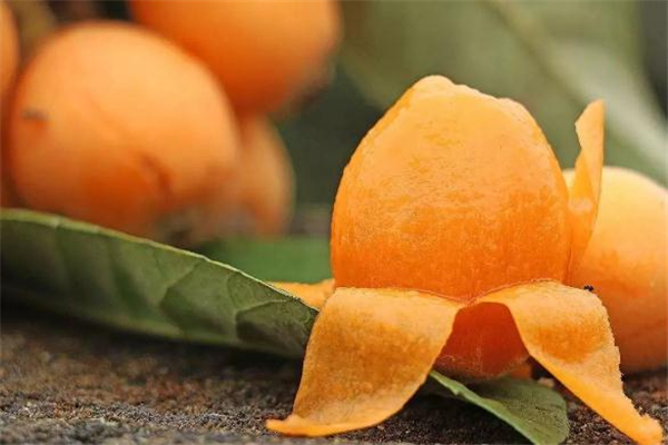 枇杷的营养成分(枇杷的营养成分) 枇杷的营养成分(枇杷的营养成分)