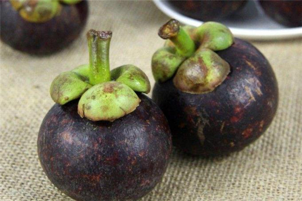 为什么吃山竹会拉肚子(拉肚子可以吃山竹吗) 为什么吃山竹会拉肚子(拉肚子可以吃山竹吗)