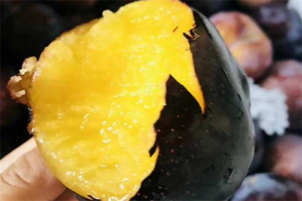 黑布林怎么挑选(黑布林怎么挑选)