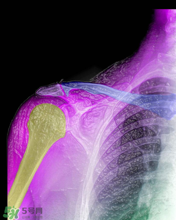 根据皮肤颜色选择适合自己的口红(什么皮肤适合什么颜色的口红) 根据皮肤颜色选择适合自己的口红(什么皮肤适合什么颜色的口红)