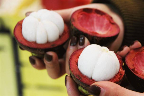 山竹皮泡水什么味道(山竹皮泡水喝的功效)