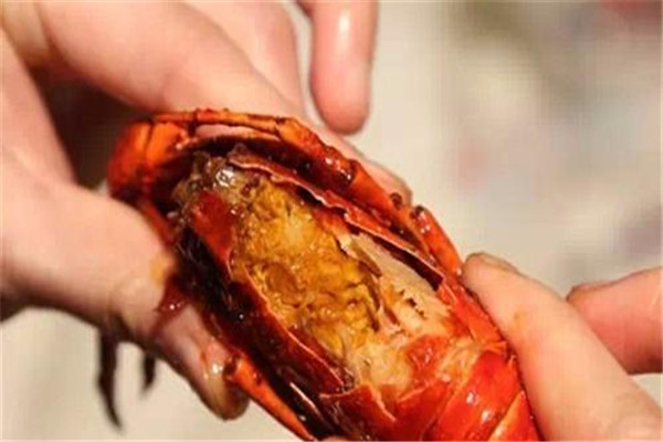 小龙虾可以过夜吗(小龙虾可以过夜吗)