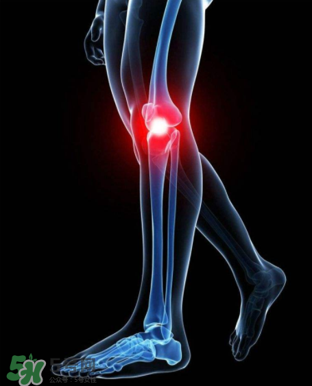 波西米亚卷发整理法则(波西米亚风格发型卷发)