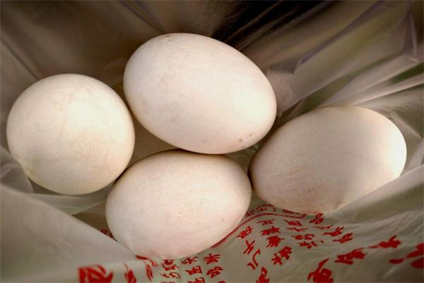 鹅蛋如何挑选(鹅蛋如何挑选)