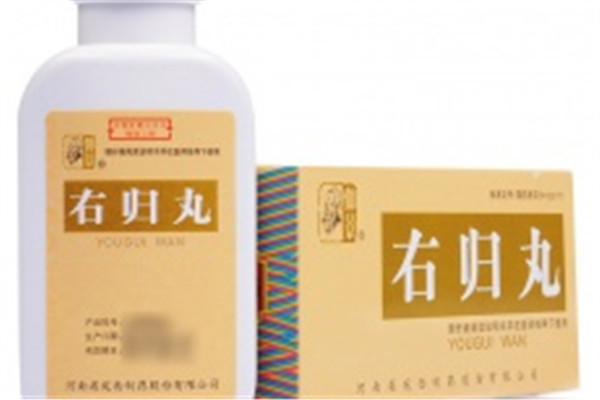 右归丸适合什么人吃(人参健脾丸和右归丸适合什么人吃)