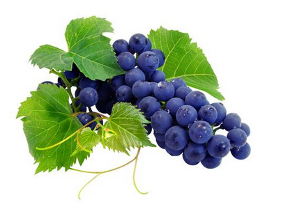 葡萄籽怎么选,葡萄籽测评 葡萄籽怎么选,葡萄籽测评