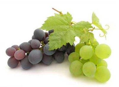 葡萄籽适宜人群,葡萄籽不适合哪些人群 葡萄籽适宜人群,葡萄籽不适合哪些人群