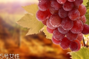 吃葡萄籽会影响月经吗?,月经期为什么不能吃葡萄籽