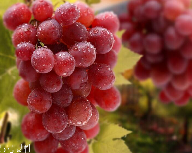 葡萄籽对身体有什么好处,葡萄籽有什么功能