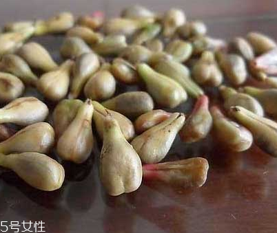 葡萄籽禁忌人群,葡萄籽适用人群