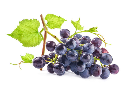 葡萄籽的功效和作用及副作用,葡萄籽的功效和作用一天吃几粒 葡萄籽的功效和作用及副作用,葡萄籽的功效和作用一天吃几粒