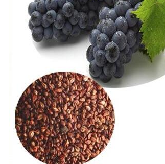 葡萄籽的作用和功效,葡萄籽的作用及功能主治是什么 葡萄籽的作用和功效,葡萄籽的作用及功能主治是什么