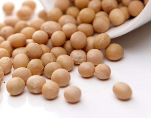 哪些食物含卵磷脂,含卵磷脂丰富的食物有哪些